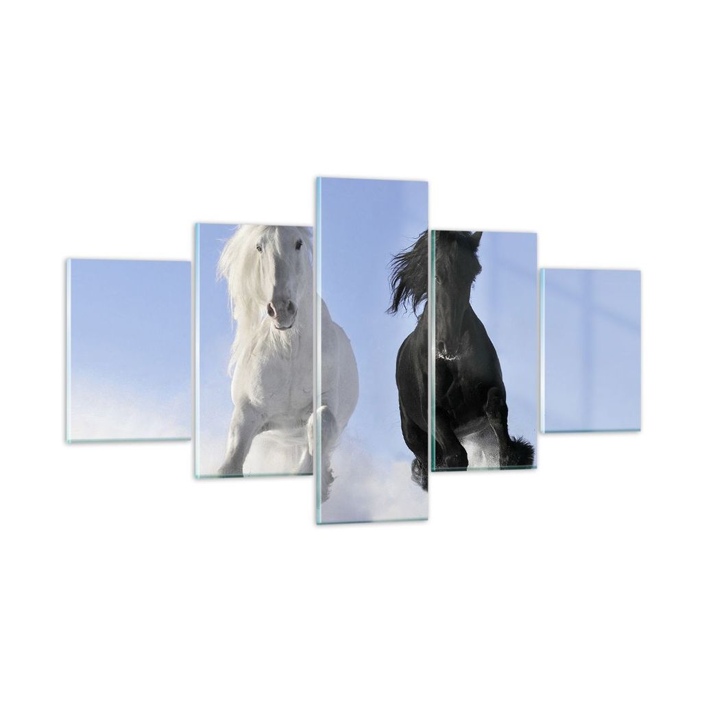 Bilder auf glas - Tiere Schönheit Wettbewerb - 125x70cm - Glasbilder - Wandbilder - Kunstdruck - zum Aufhängen bereit - Wanddekoration aus Glas -...