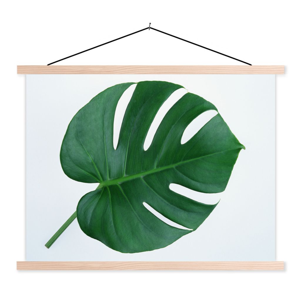 MuchoWow Textilposter Botanische Lochpflanze auf einem hellgrauen Hintergrund 150x113 cm mit holzfarbenen Rahmen - Poster