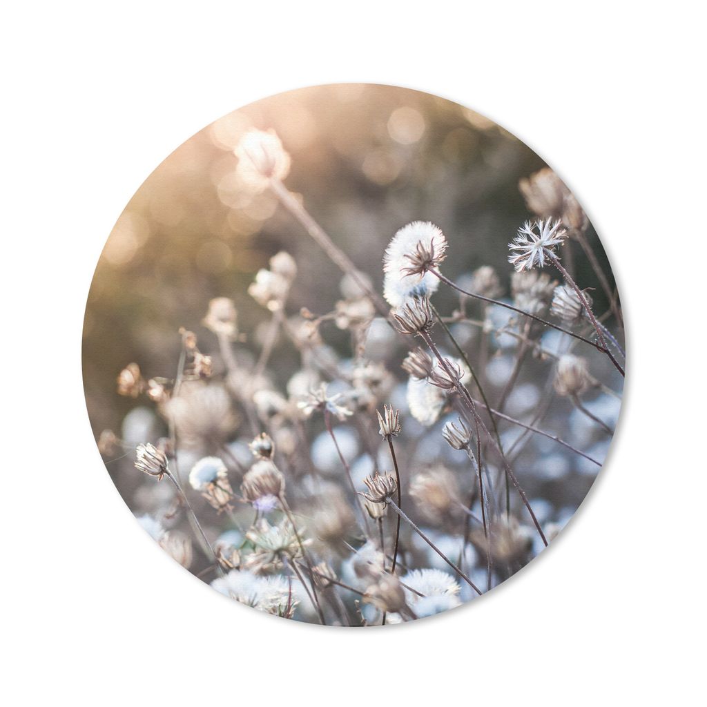 MuchoWow Mauspad Mousepad Blumen - Sonne - Sepia 40x40 cm - Mousepads - Maus Mat - Pad - Mausunterlage - Schreibtisch Accessoires