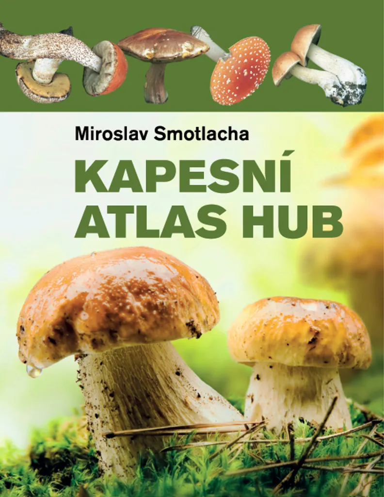 Atlas des Champignons Smotlacha : Format Compact et Photos Précises