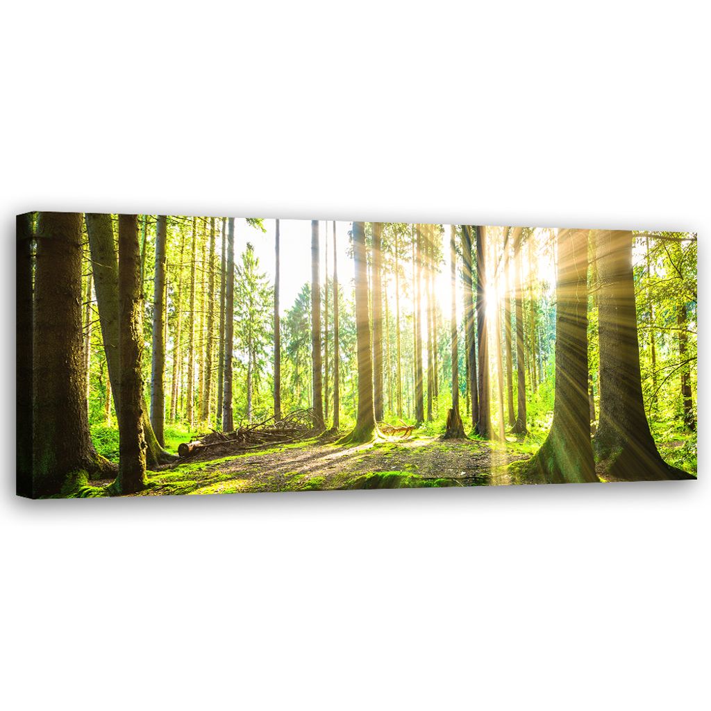 Leinwandbild Sonnenstrahlen im Wald 90x30 Feeby Grün bild für die wand bereit zum aufhängen