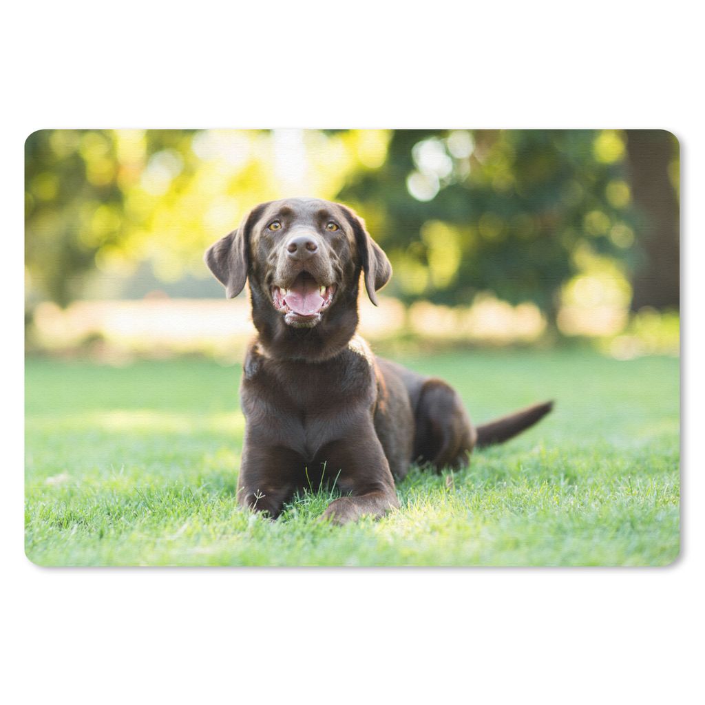 MuchoWow Mauspad Mousepad Ein Labrador Retriever liegt im Gras 27x18 cm - Mousepads - Maus Mat - Pad - Mausunterlage - Büroartikel - Desk Matten