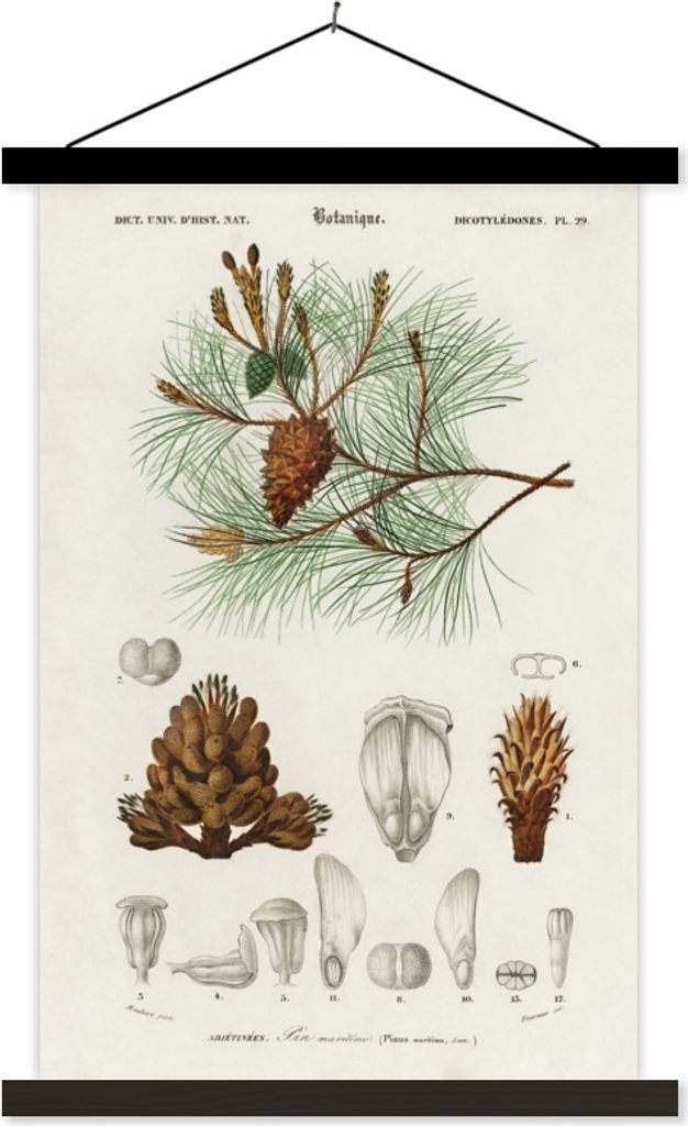 MuchoWow Textilposter Baum - Vintage - Saatgut 40x60 cm mit schwarzem Rahmen - Wanddekorationen