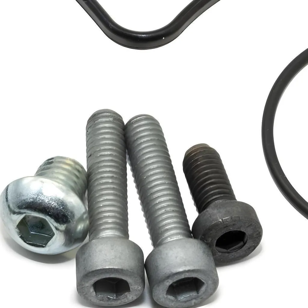Kit Révision Pompe à Eau pour Aprilia Tuono V4 et RSV4 1000 1100