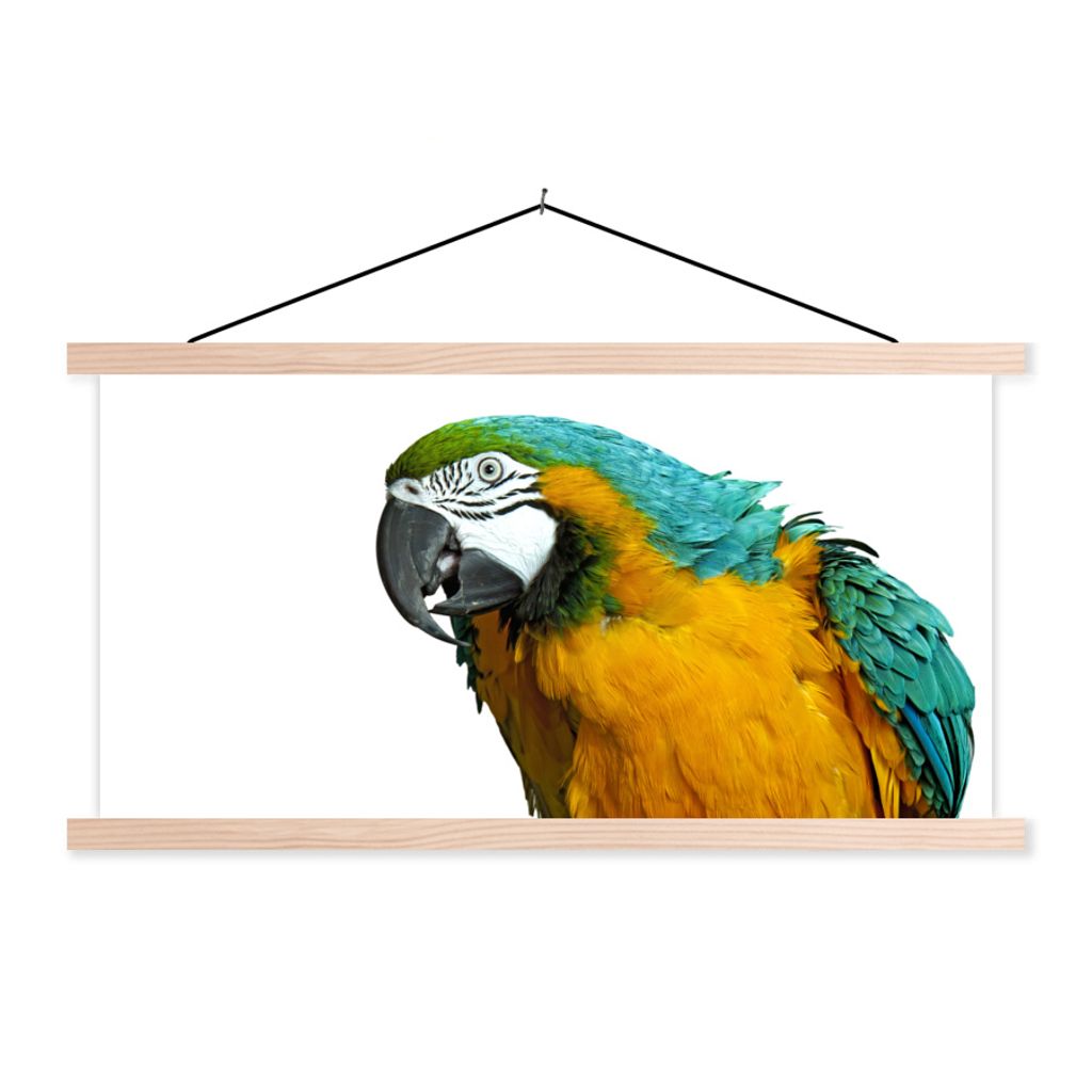 MuchoWow Textilposter Papagei - Vogel - Federn - Porträt 120x60 cm mit holzfarbenen Rahmen - Klemmleiste