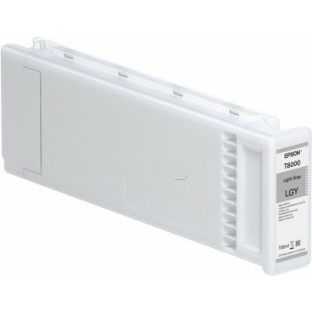 EPSON Singlepack Light Gray T800000
