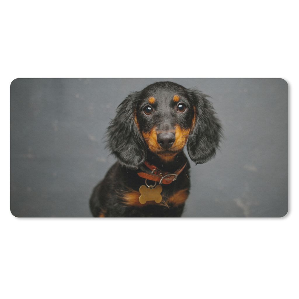 MuchoWow Schreibtischunterlage Studiofoto eines Dackelwelpen 80x40 cm - XXL Mauspad - Gaming Mauspad