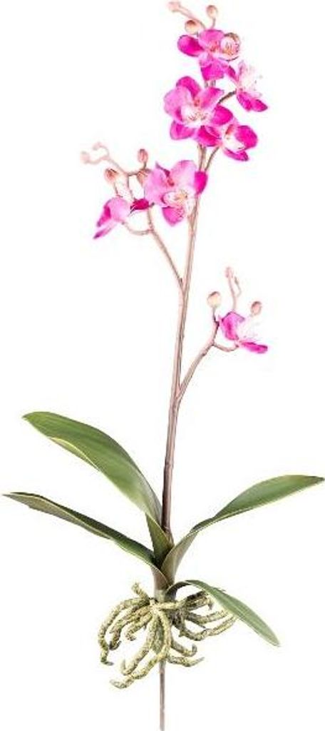 artplants.de Künstliche Phalaenopsis Orchidee MALZA, Steckstab, Wurzeln, Cerise, 55cm - Kunst Orchidee