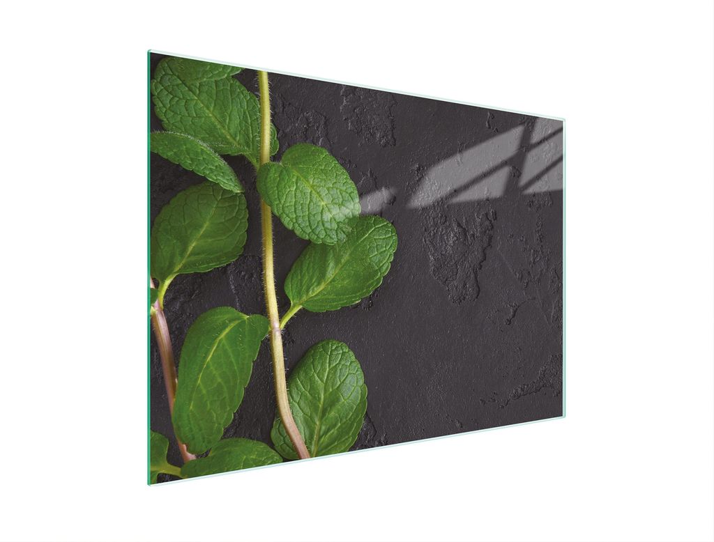 Schneidebrett Herdabdeckplatte Multiglasschneidplatte 30x22 cm Schiefer Minz