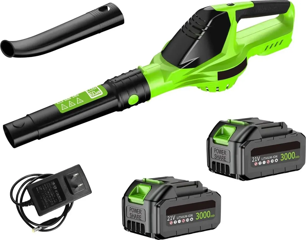 Souffleur de feuilles sans fil X6 - Moteur Brushless 21V et 2 batteries