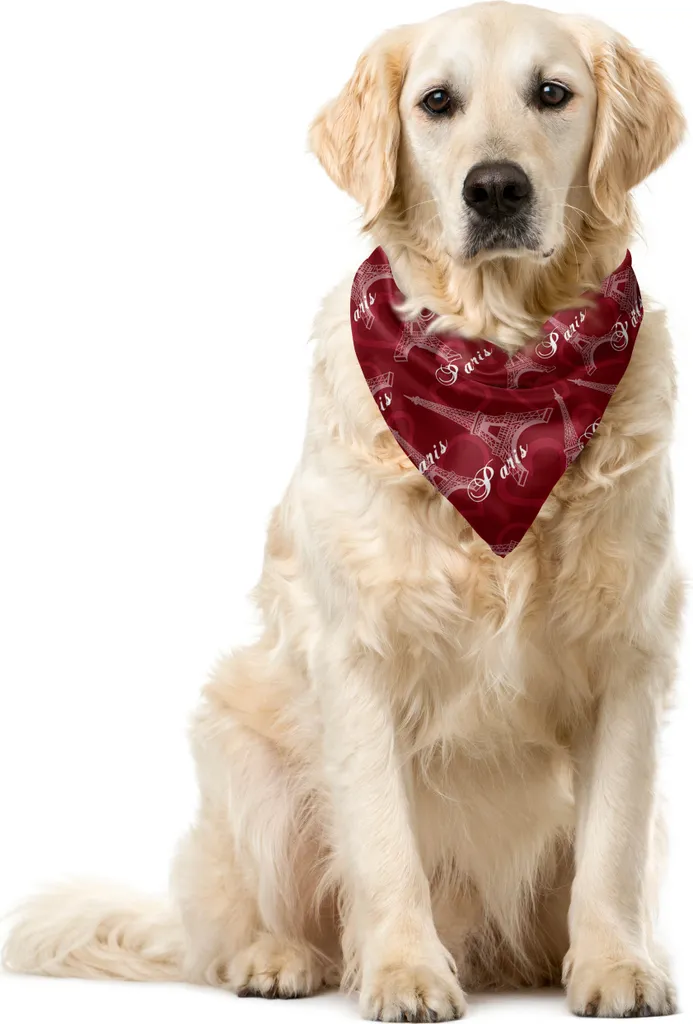 Bandana Cane Resistente ABAKUHAUS Eiffel | 55x55cm Marrone
