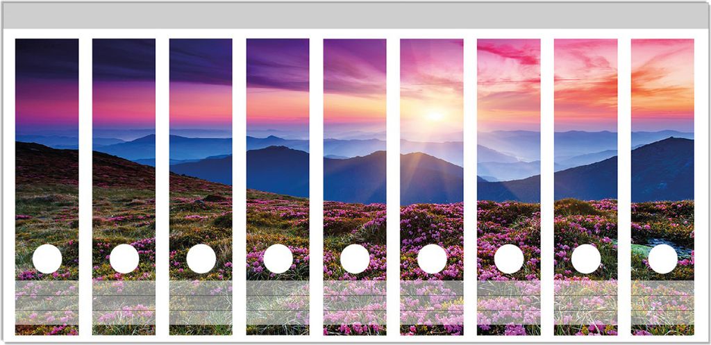 Wallario Ordnerrücken Sticker, selbstklebend für breite Ordner, 9 Stück, Motiv Blumenbedeckte Wiese bei Sonnenuntergang