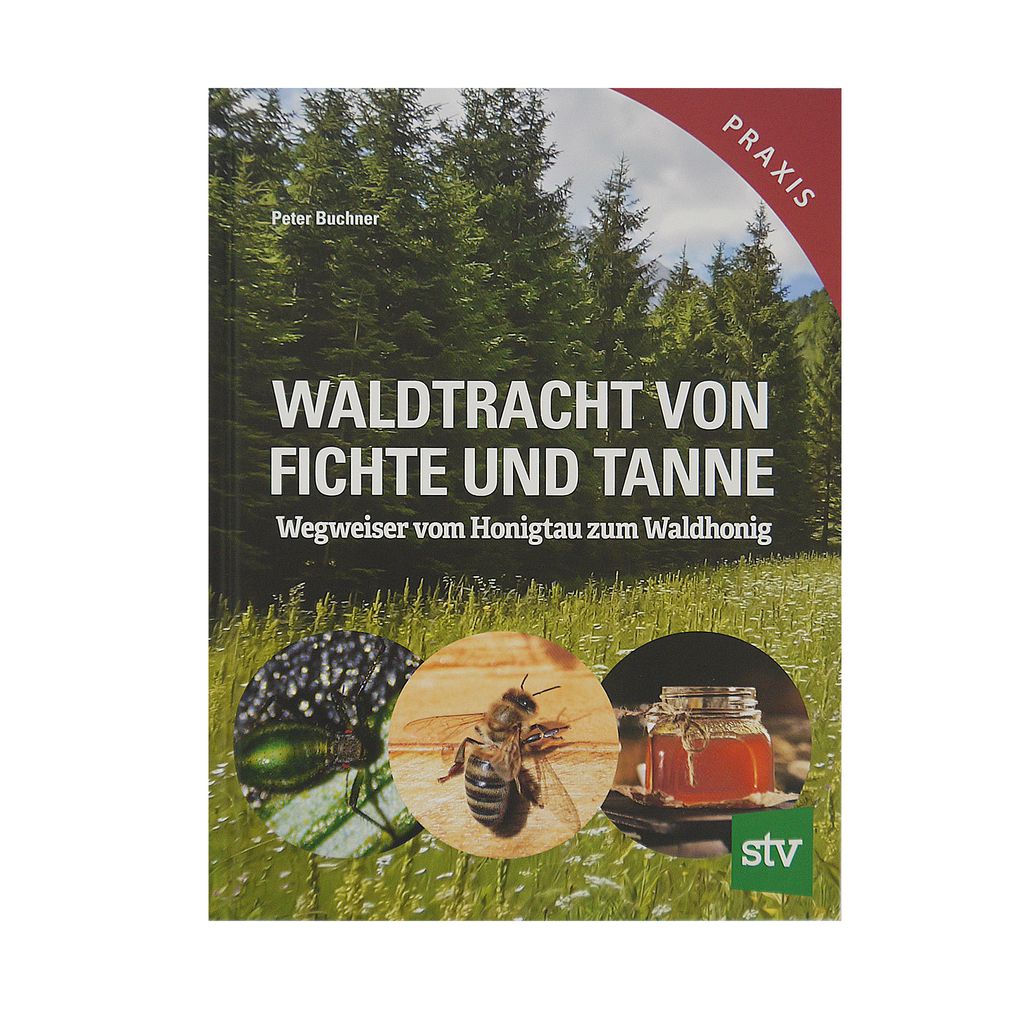 Waldtracht von Fichte und Tanne Obrázek produktu 
