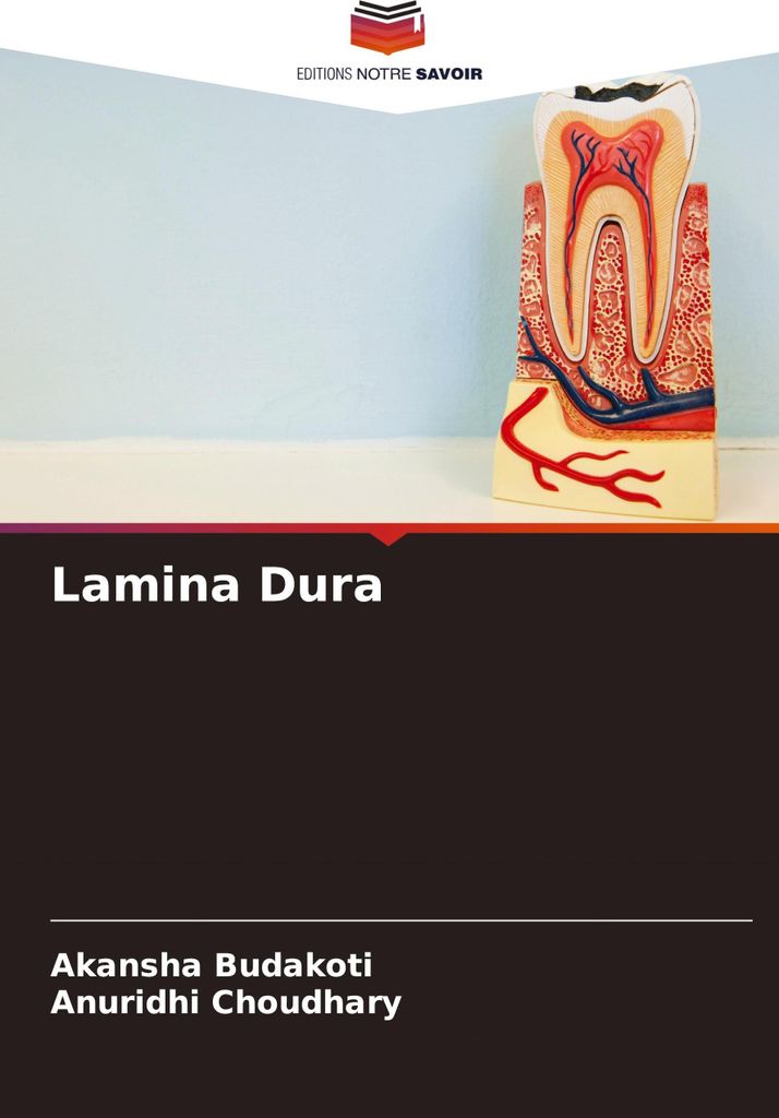 Lamina Dura