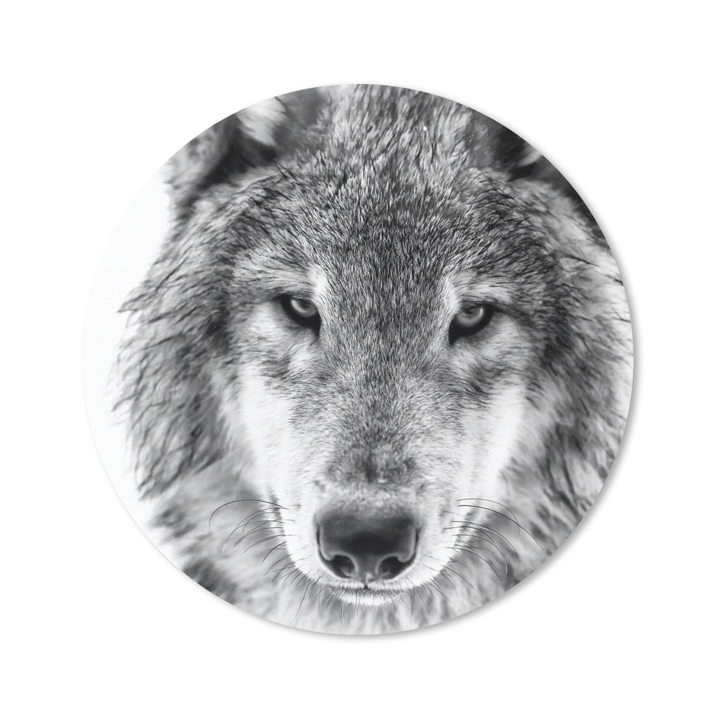 MuchoWow Mauspad Mousepad Wolf im Winter in Schwarz und Weiß 20x20 cm - Mousepads - Maus Mat - Pad - Mausunterlage - Schreibtischmatte