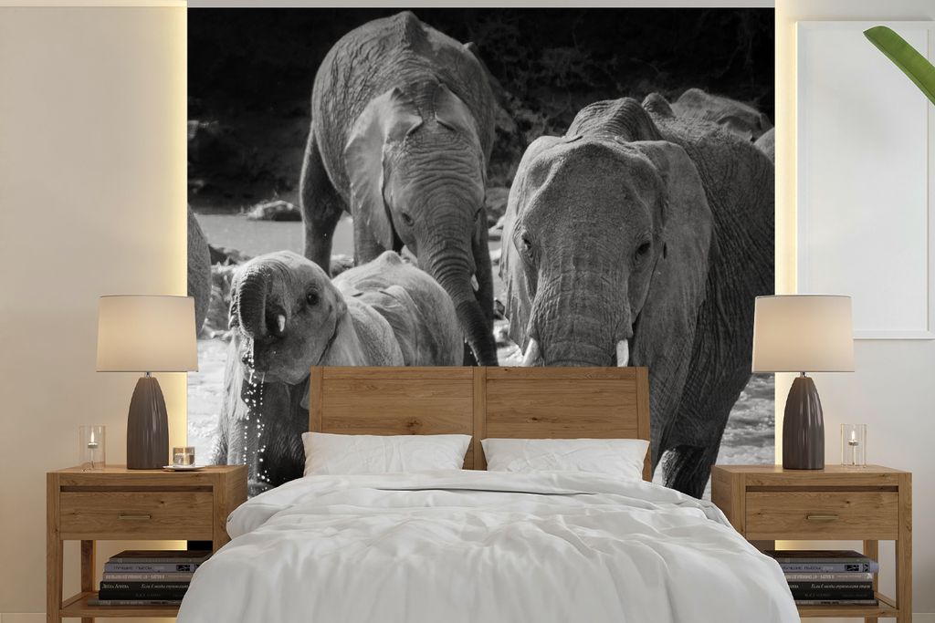 MuchoWow Fototapete für Wohnzimmer oder Schlafzimmer Wandtapete Vinyl Motivtapete Familie Elefanten im Wasser in schwarz und weiß - 240x240 cm ...