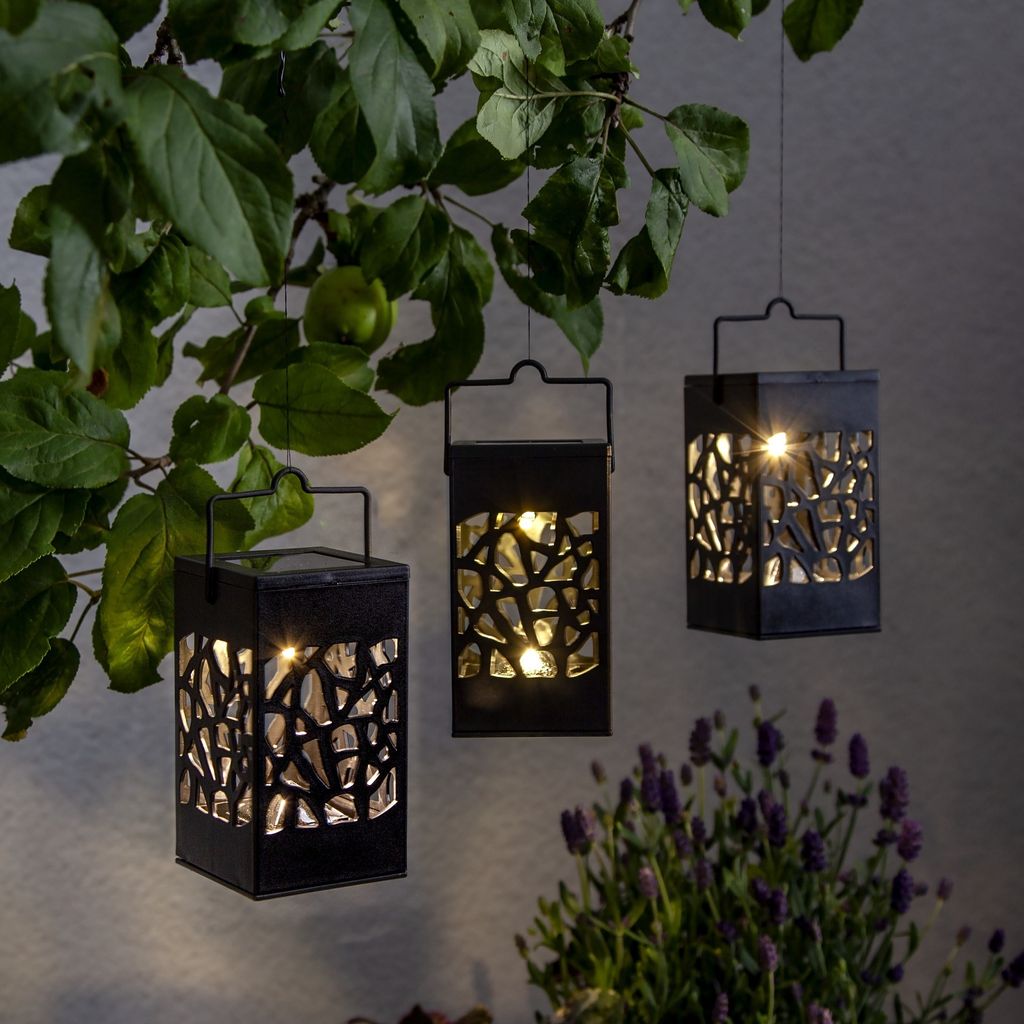 Three solar-powered lanterns hanging from a tree branch at dusk, with lavender in the foreground.