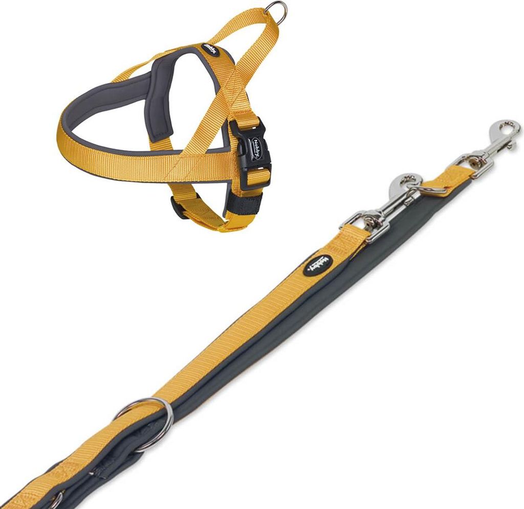 Hundegeschirr und Leine Set "Classic Preno", orange/grau, S-M