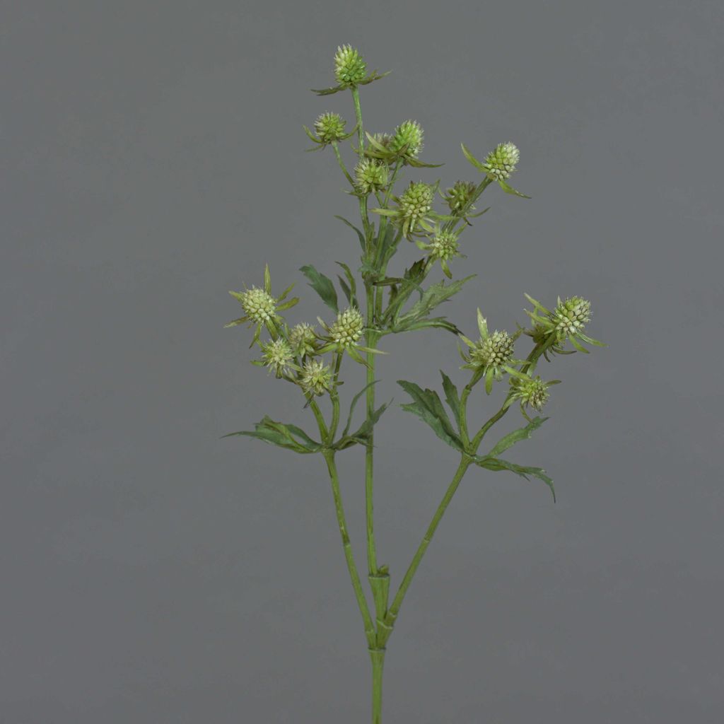 artplants.de Kunst Edeldistel KALYPSO, grün, 65cm - Textilblume Mannstreu