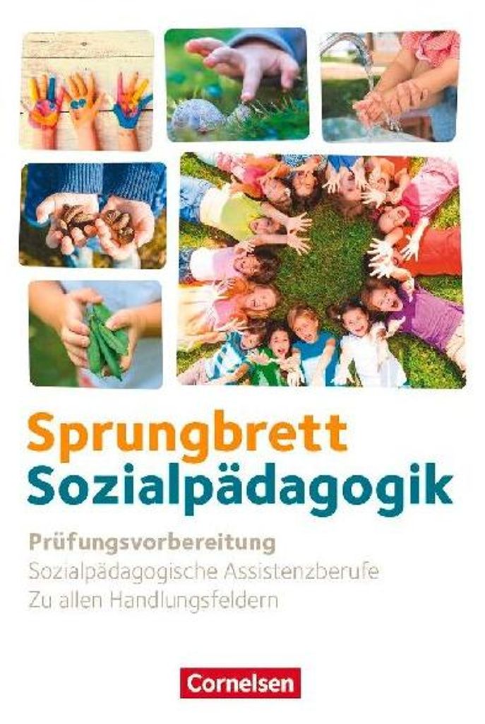 Sprungbrett Sozialpädagogik. Zu allen Handlungsfeldern - Produktbild 