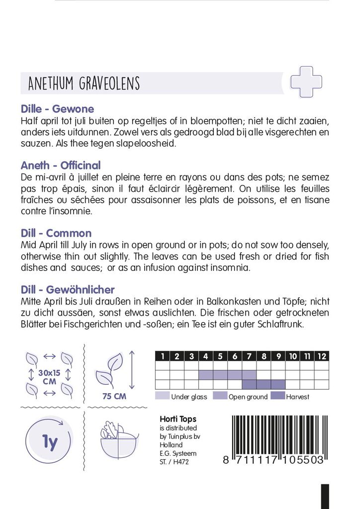 Dill | Dillsamen von Hortitops