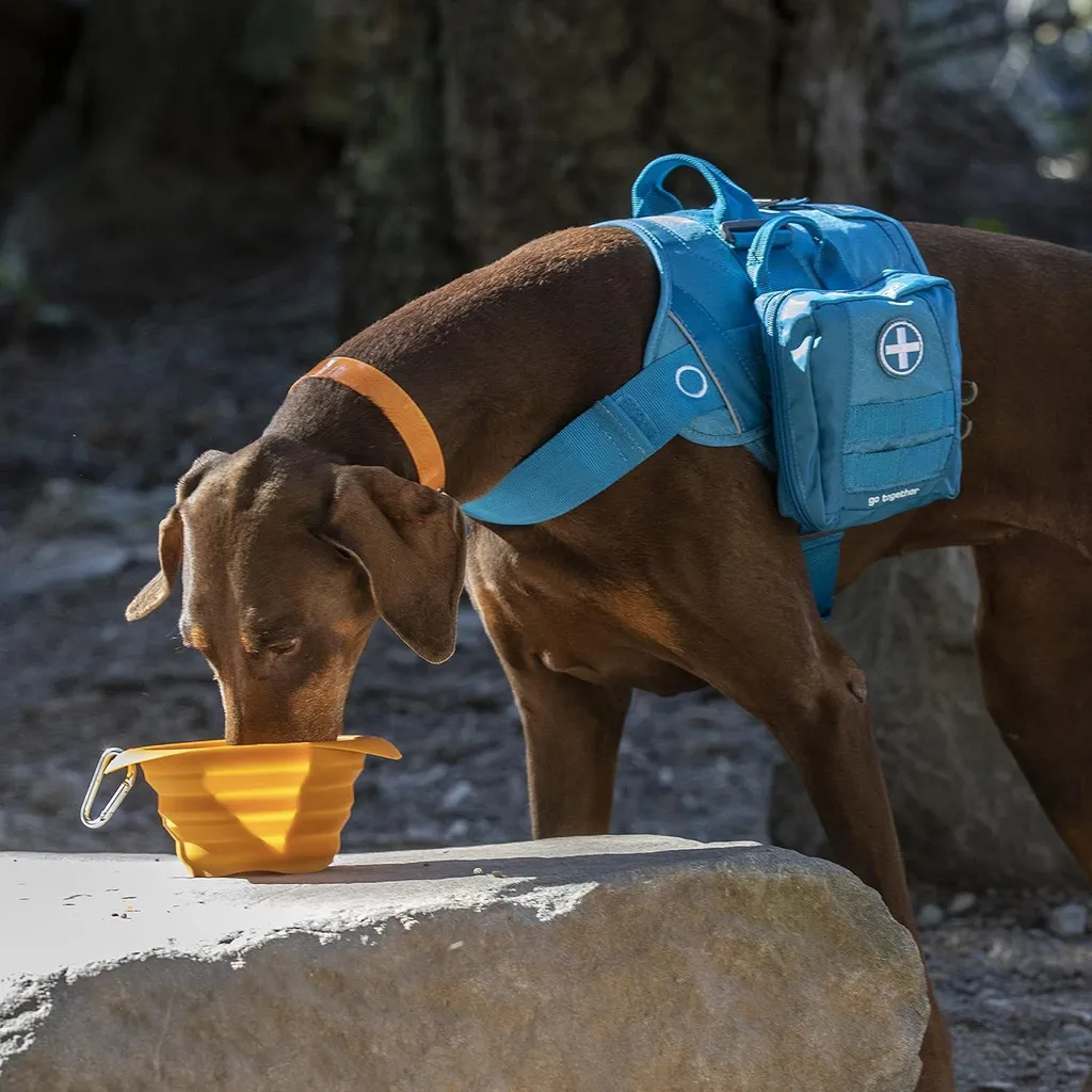 Gamelle silicone sans BPA pour chien 700 ml - Pliable et Étanche - 5
