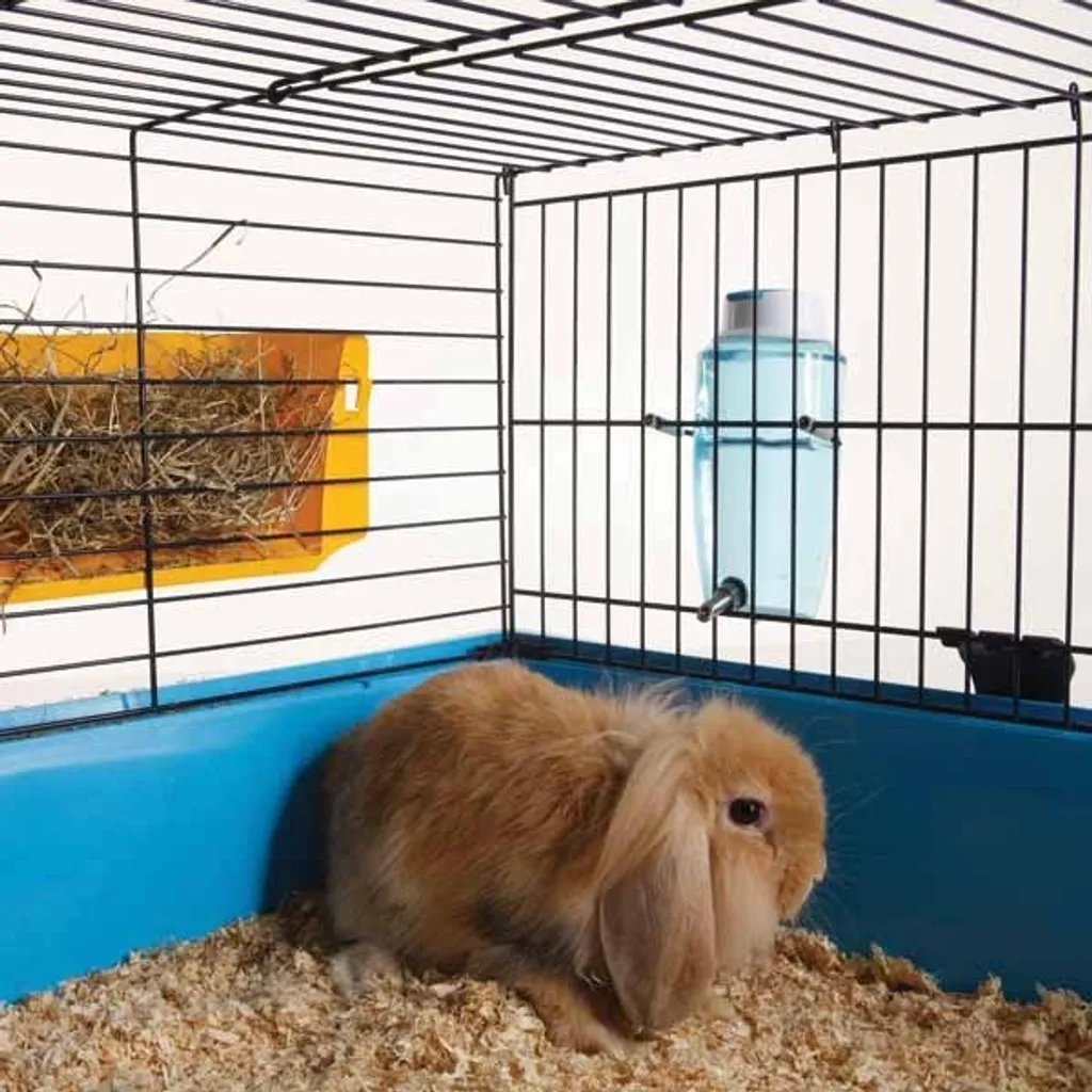 Problemi di Gocciolamento? Risolvi con Savic Source 600 ml per Roditori - 4