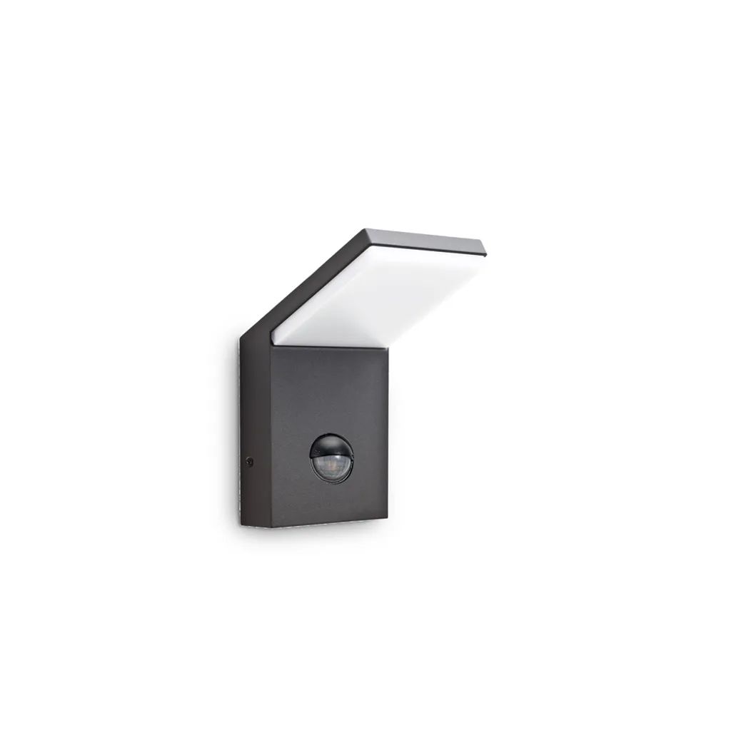 Applique LED Extérieure Anti-Corrosion Anthracite 9,5W Basse Conso