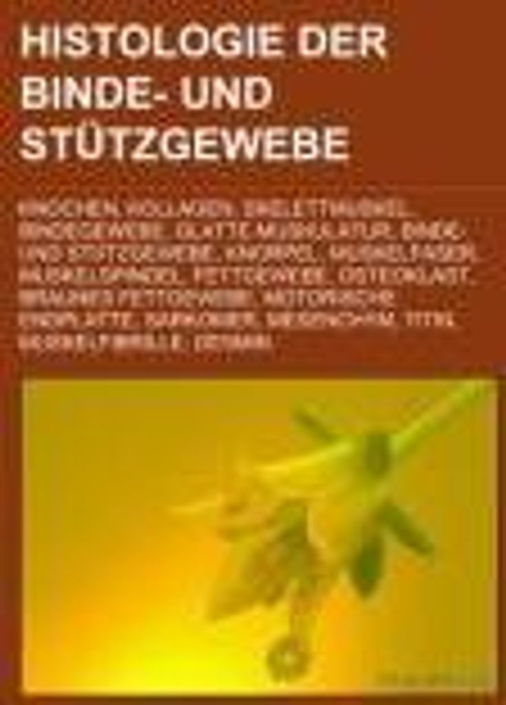 Histologie der Binde- und Stützgewebe
