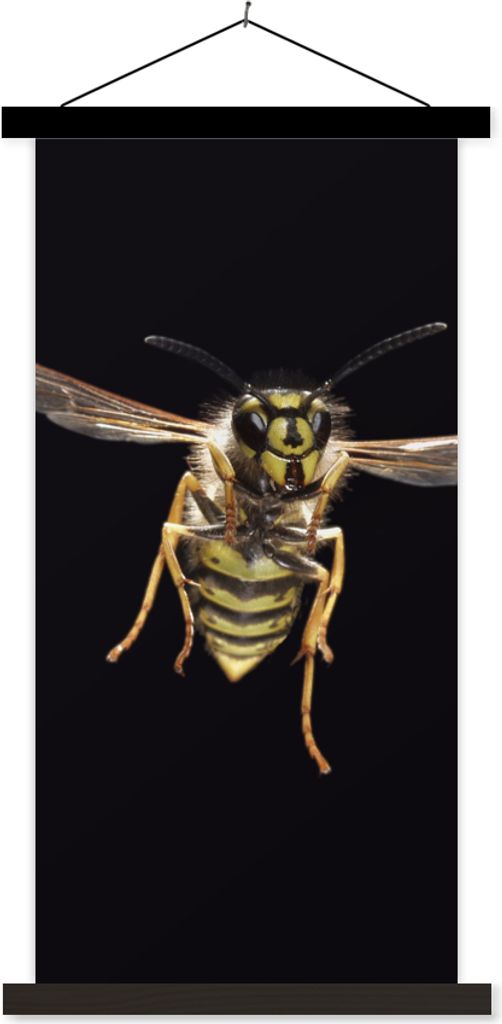 MuchoWow Textilposter Wespe - Insekten - Porträt 40x80 cm mit schwarzem Rahmen - Wandemalerei
