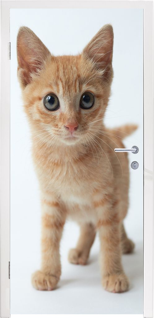 MuchoWow Türtapete Selbstklebende Türfolie Katze - Rot - Kätzchen - Mädchen - Kinder - Jungen - Kind 90x235 cm Türposter Türaufkleber Klebe...