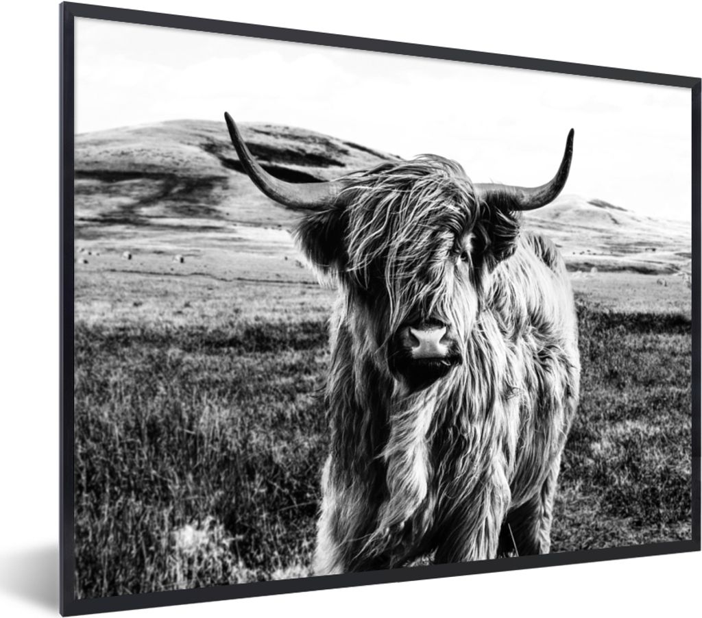 MuchoWow Gerahmtes Poster Schwarz - Weiß - Schottischer Highlander - Gras 40x30 cm - Poster mit Schwarzem Bilderrahmen Wandposter Rahmen Foto Bi...