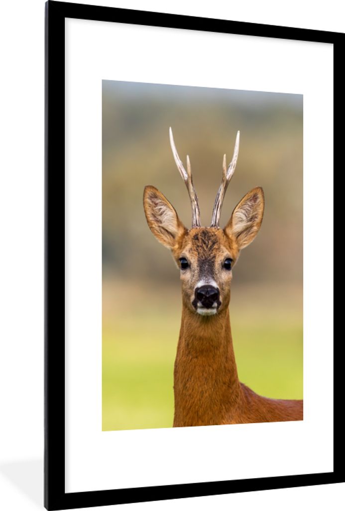 MuchoWow® MuchoWow® Gerahmtes Poster Hirsch - Geweih - Produktbild 