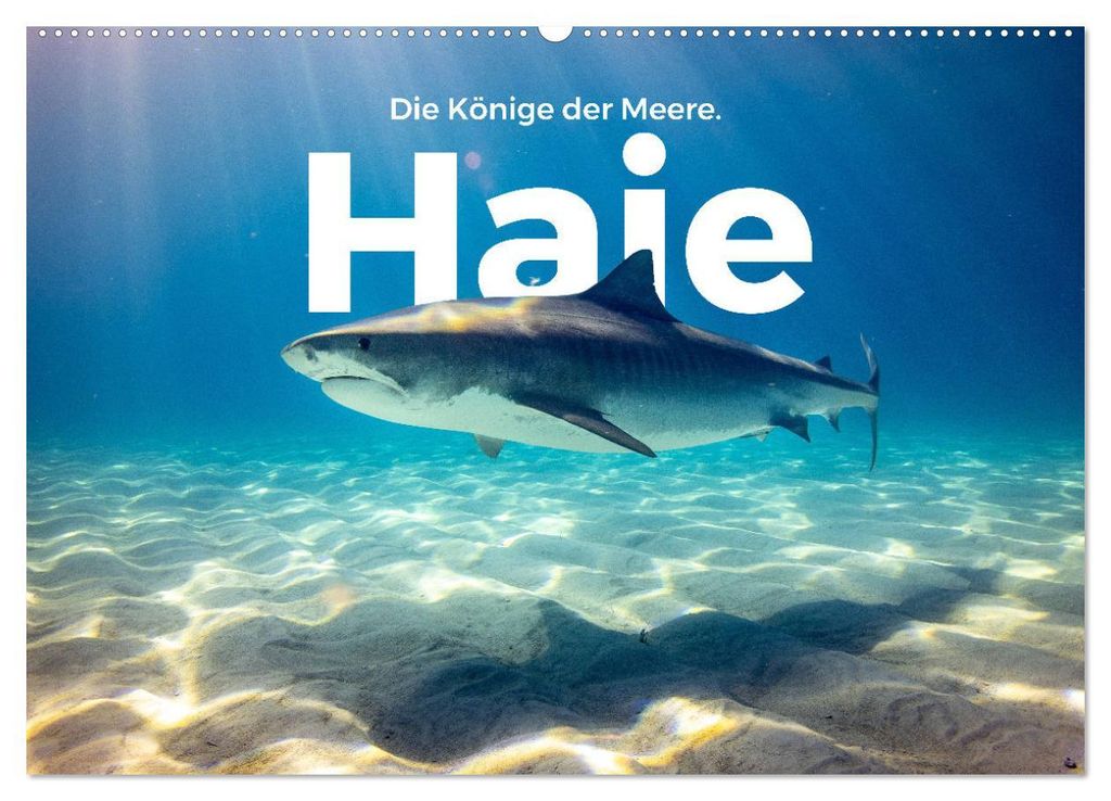 Haie - Könige der Meere. (Wandkalender 2027 DIN A2 quer), CALVENDO Monatskalender