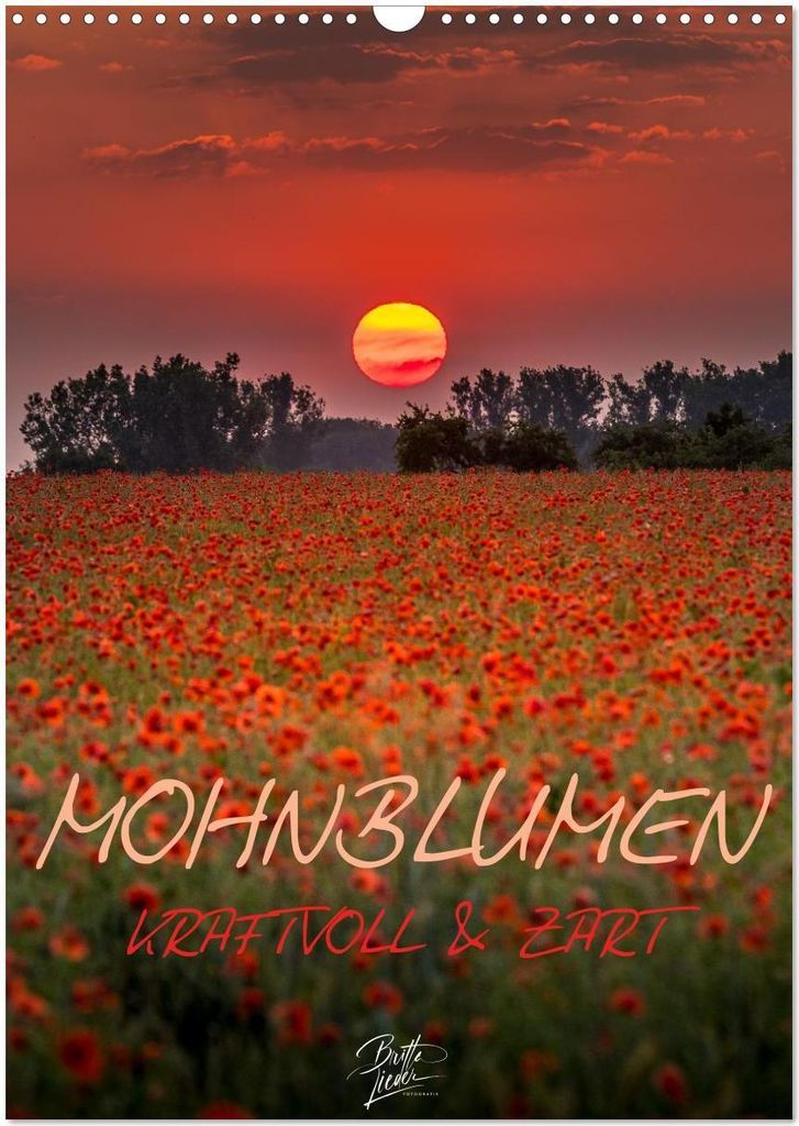 Mohnblumen - kraftvoll und zart (Wandkalender 2026 DIN A3 hoch), CALVENDO Monatskalender
