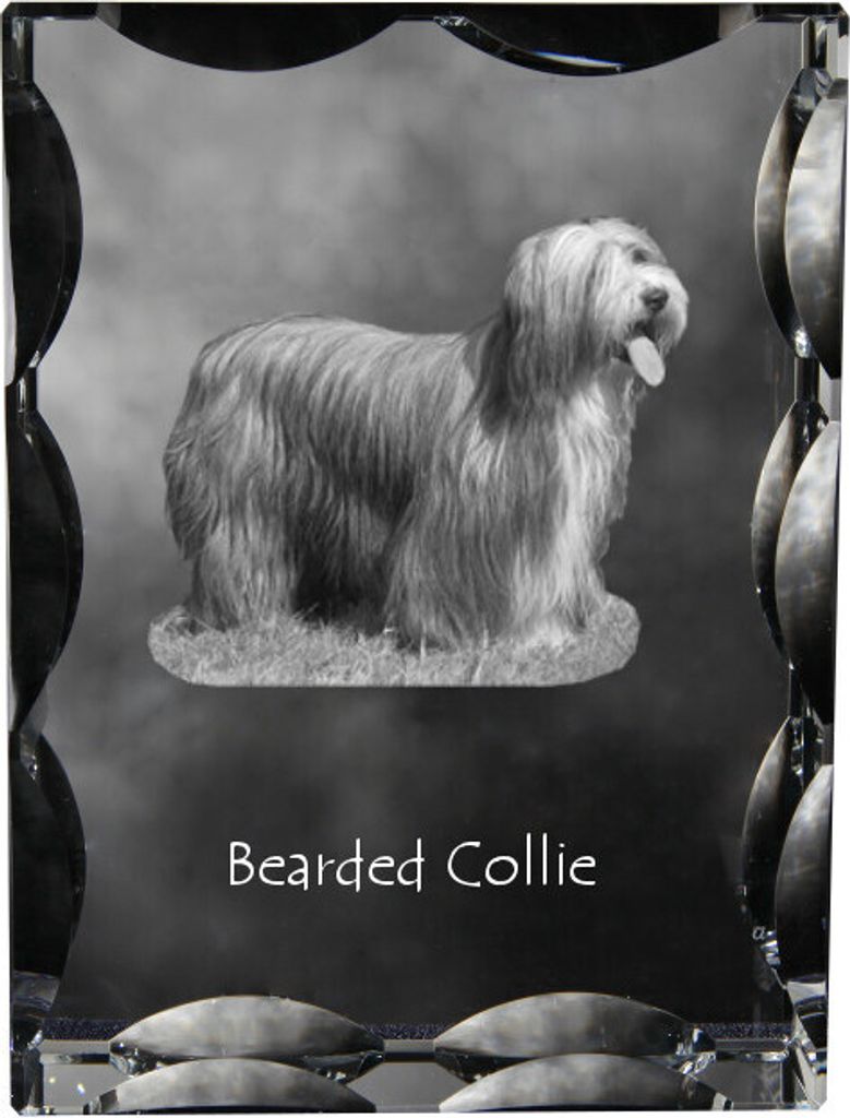 Bearded Collie - Kristall mit einem Hundebild, Glasstatuette mit einem Bild, einzigartiger Bilderrahmen der Marke Art-Dog
