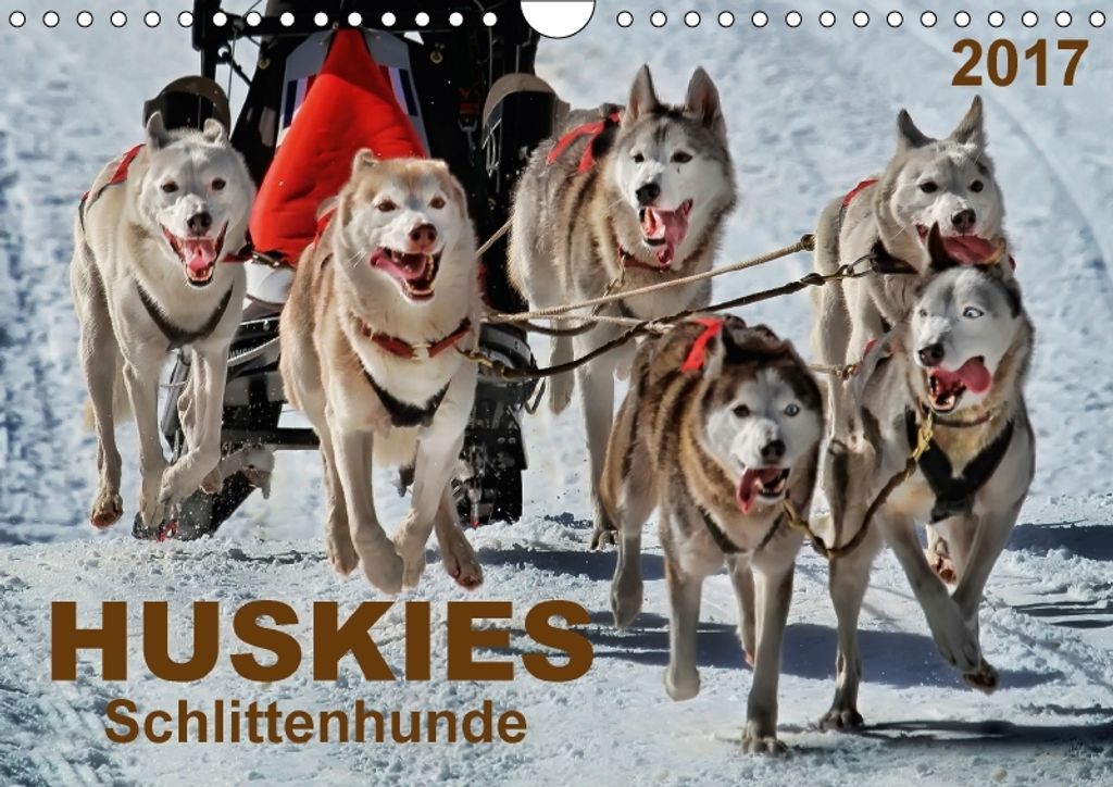 Kalender Huskies - Schlittenhunde, 2017, Roder Peter 297x210mm ;7249697