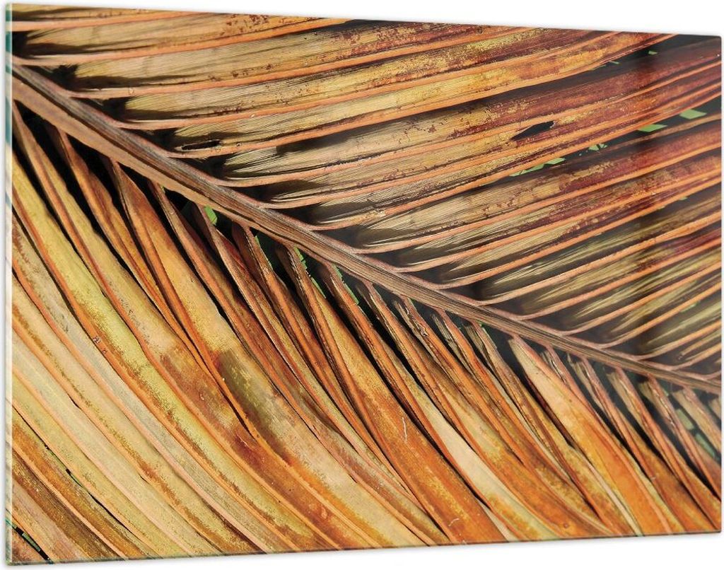 Bilder auf glas - Einteilig - Orange Blatt Tropisch - 120x80cm - Glasbilder - Wandbilder - Bilder - zum Aufhängen bereit - Wanddekoration aus Glas...