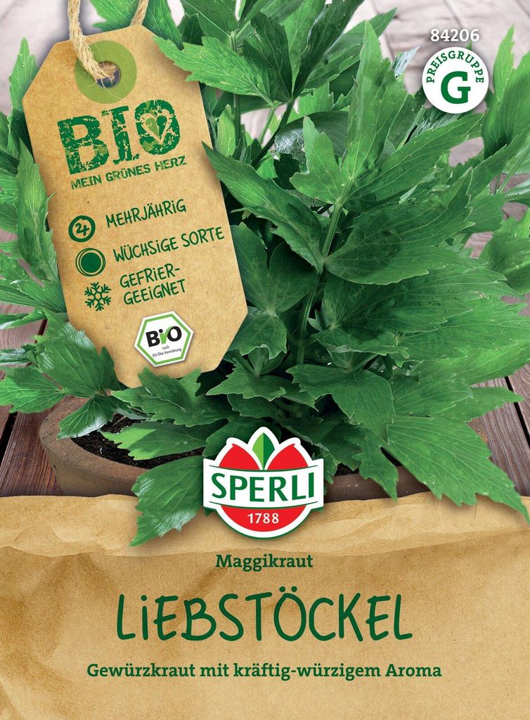 Artikelbild 2 von 'Liebstöckel Maggikraut' aus der Kategorie Liebstöckelsamen