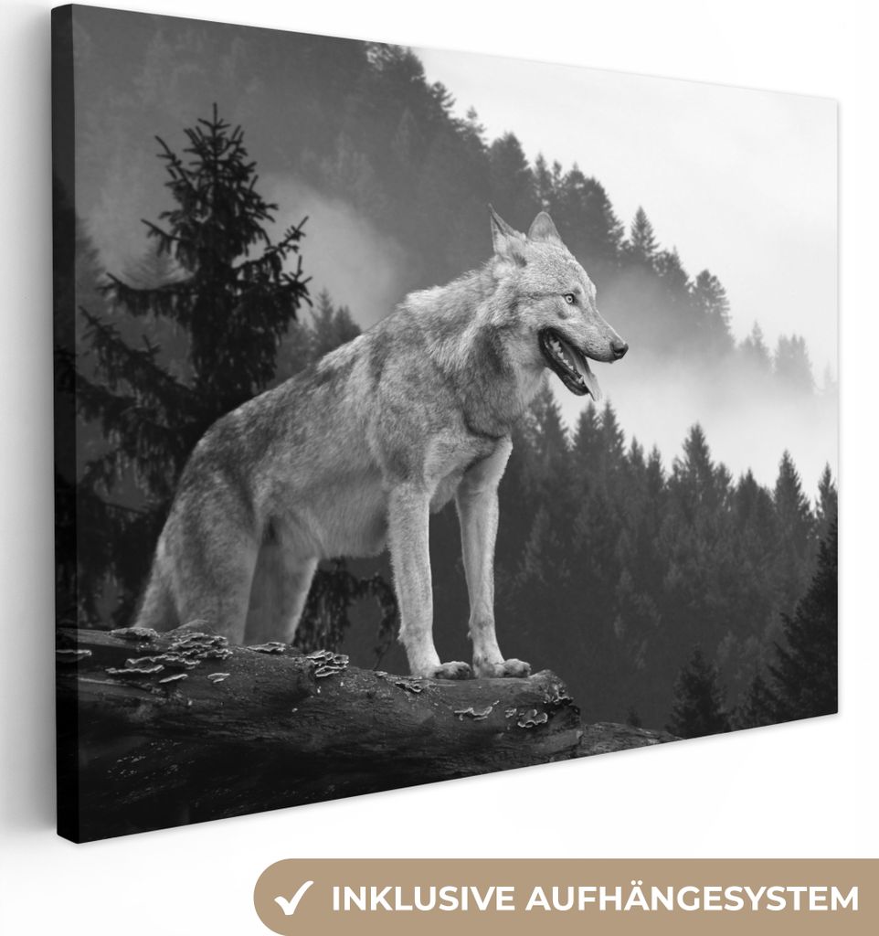 MuchoWow - Leinwandbilder - Wolf - Wald - Schwarz - Weiß, Wandbild, Wanddeko Bilder Wohnzimmer, 120x90 cm