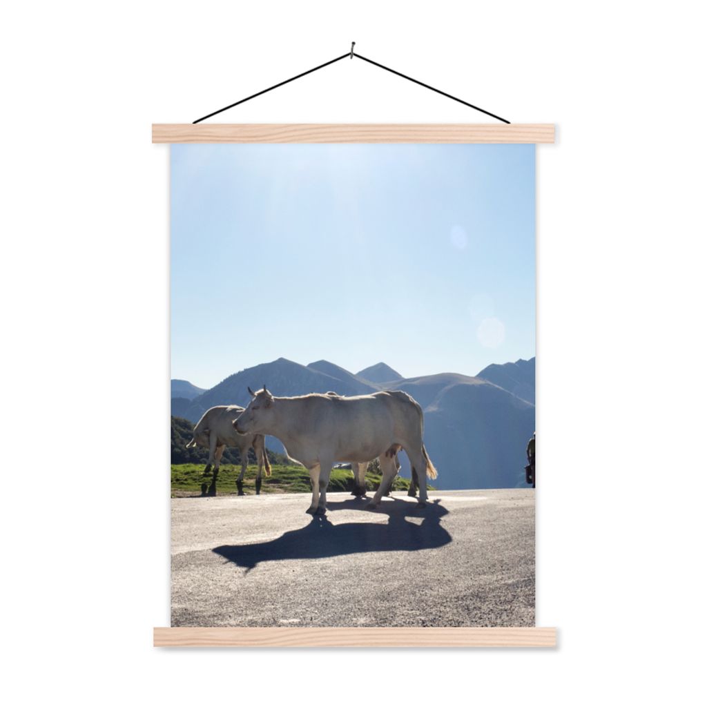 MuchoWow® Textilposter Schottische Highlander - Licht - Produktbild 