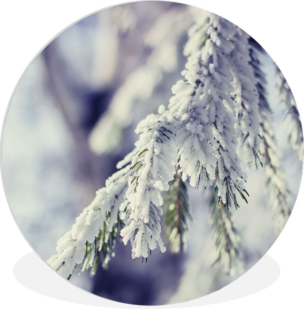 MuchoWow Rundes Wandbild - Runde Bilder Winter - Tannenbaum - Schnee - Ländlich Ø 30 cm Kreis Wanddekoration Kunststoff - Wandkreis - Wandschmu...