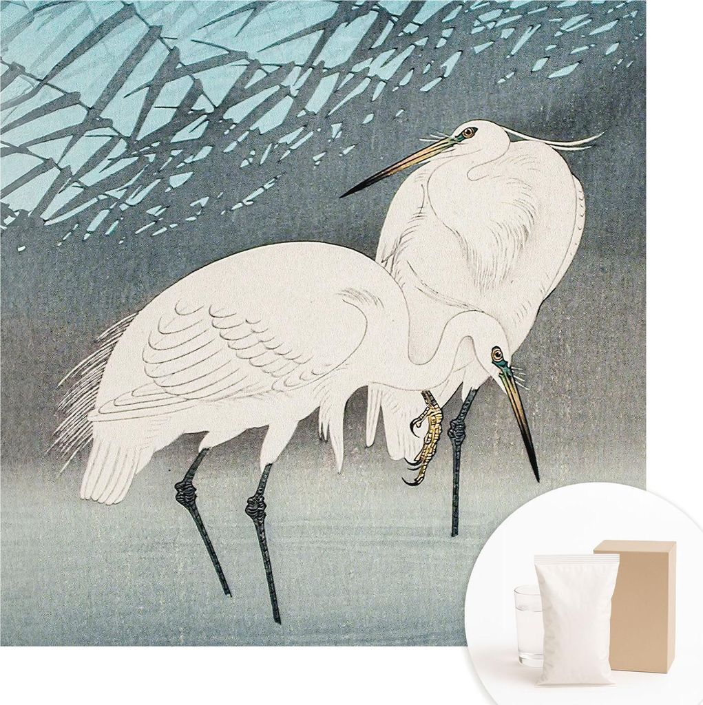 Fototapete - Wandbilder für Wohnzimmer - 250x250 cm - Dekorative Wandfolie - Modernes Design für Wanddekoration - Tapeten für Innenräume - Zart...