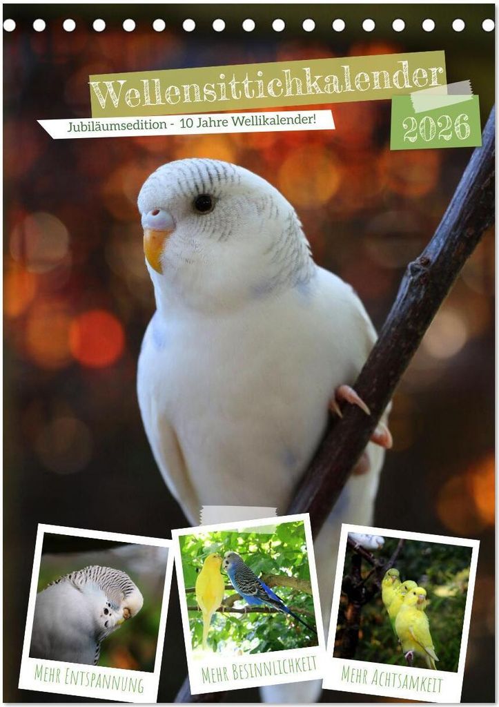 Wellensittichkalender Jubiläumsedition - 10 Jahre Wellensittichkalender! (Tischkalender 2026 DIN A5 hoch), CALVENDO Monatskalender