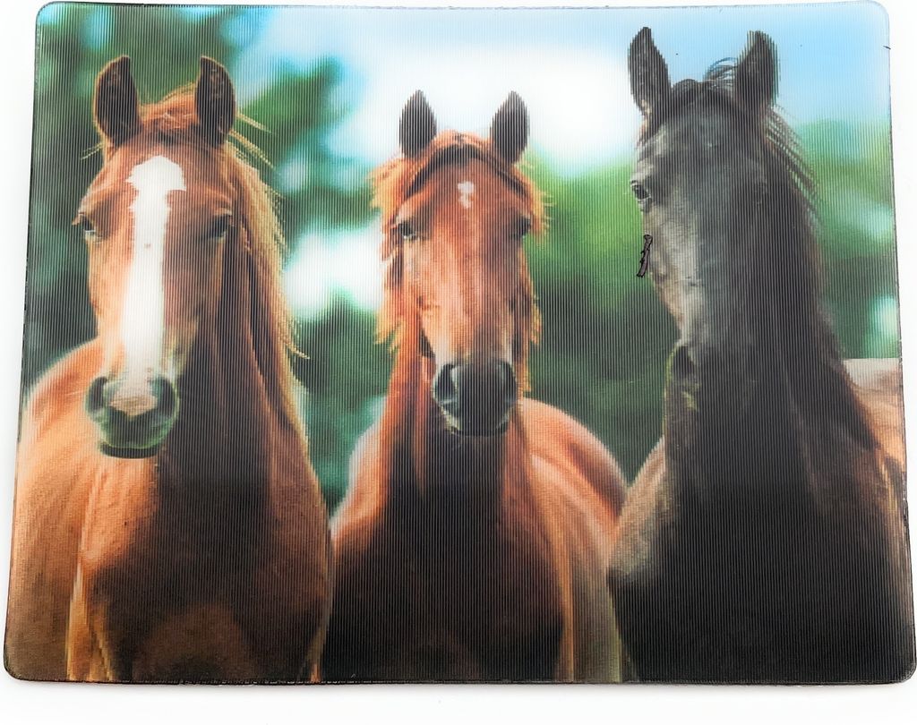 Onwomania Pfere Familie Reiten 9x7cm 3D Magnet Karte Kühlschrankmagnet Magnetbild Heftmagnet mehrfarbig