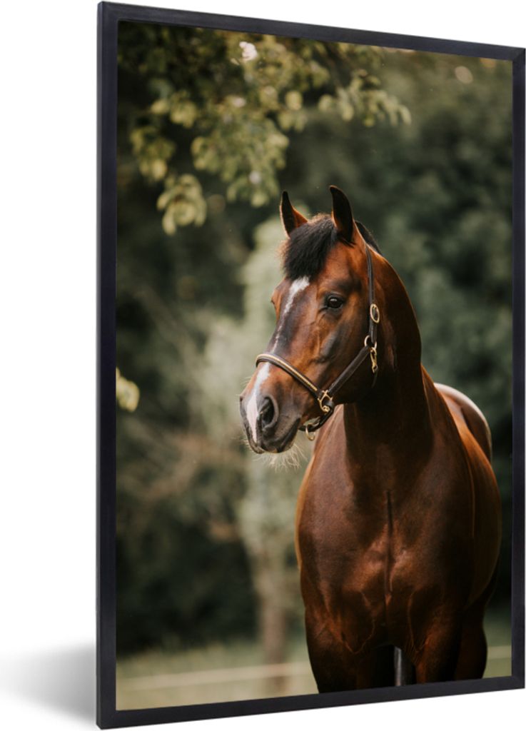 MuchoWow MuchoWow Gerahmtes Poster Pferd - Äste - Porträt 20x30 cm - Poster mit zchwarzem Bilderrahmen - Drucken - Bilder Poster im Rahmen