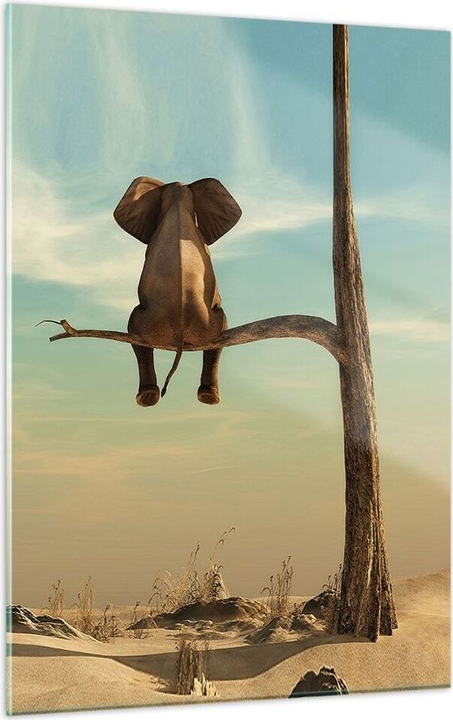 Bilder auf glas - Einteilig - Elefant sitzend Ast - 50x70cm Produktbild 