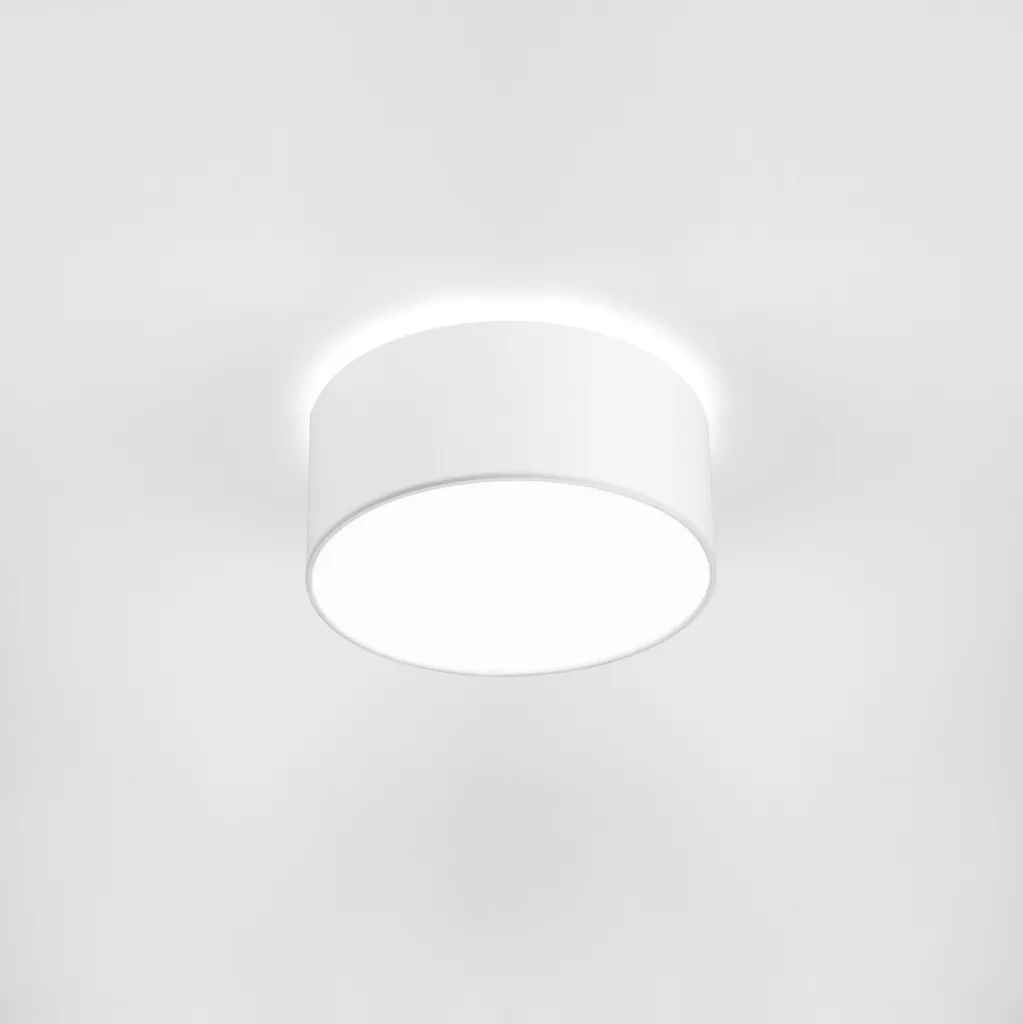 Plafonnier plat CAMERON II 9605 - Solution d'éclairage pour plafond bas