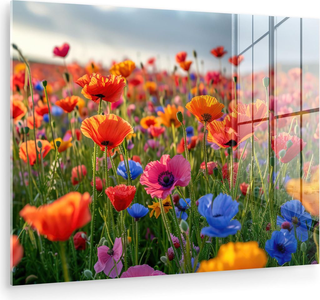 MuchoWow Glasbilder - Bilder auf Wandbild - Foto auf Glas Blumen - Mohnblumen - Farbenfroh - Natur 80x60 cm Wanddekoration aus Glas - Acrylglasbild...