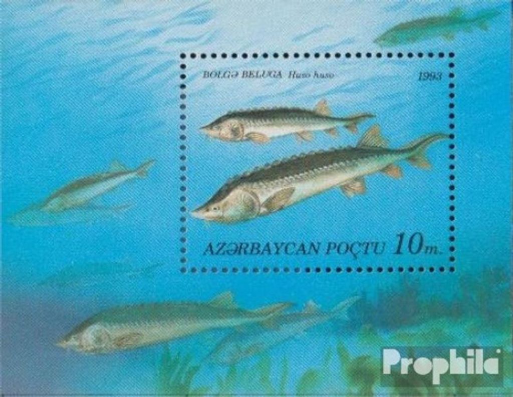 Briefmarken Aserbaidschan 1993 Mi Block3 (kompl.Ausg.) postfrisch Fische